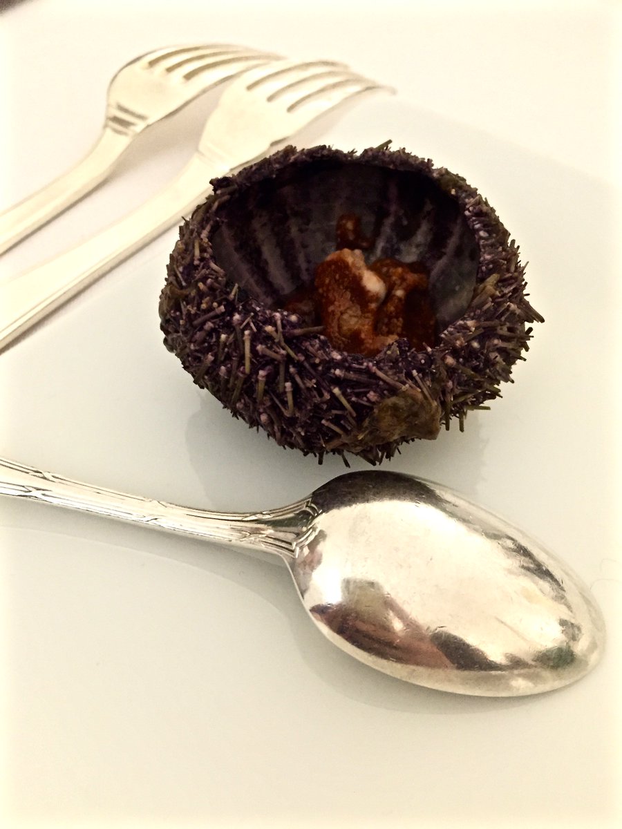 FoodGoblin1's tweet image. NEW POST: I explore the love story that is @perrierjouet champagne in Epernay. Bottoms up! foodgoblin.com/home/perrier-j… x