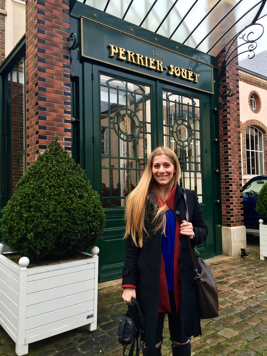 FoodGoblin1's tweet image. NEW POST: I explore the love story that is @perrierjouet champagne in Epernay. Bottoms up! foodgoblin.com/home/perrier-j… x