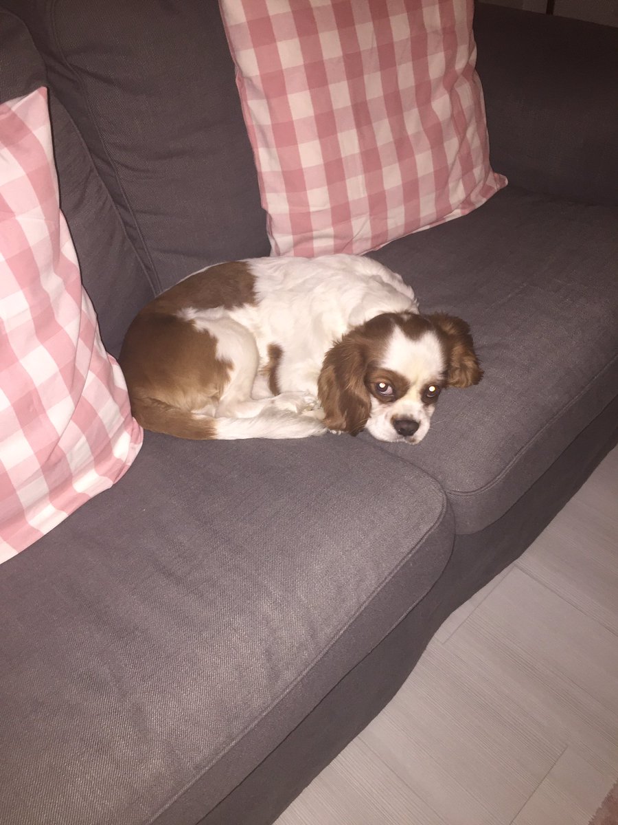 Oğluşummmm hasta mı???