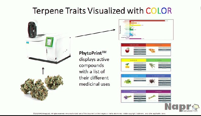 Toby Astill tweet media