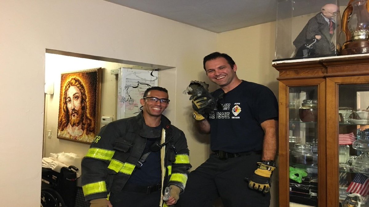 Firefighters rescue kitten trapped inside wall of home bit.ly/1Q3uVBO?utm_me… https://t.co/VZ9SojZ0CO