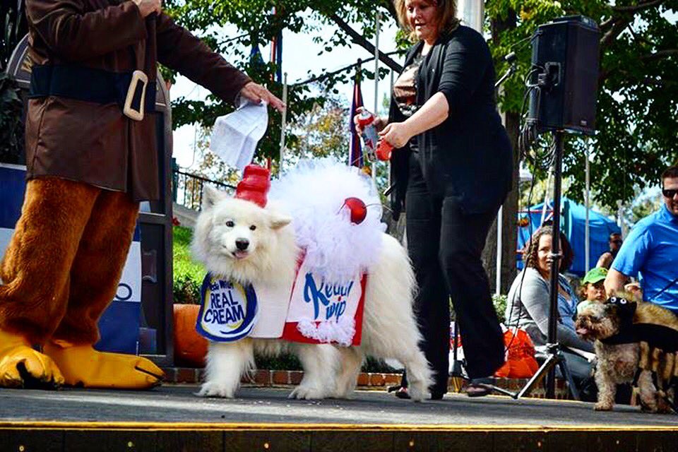 Elitch Gardens On Twitter Happy Nationalpetday Throwback From