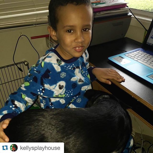 StrideLearn's tweet photo. Happy #NationalPetDay! Share your photos using #k12pets! https://t.co/NkEZk9zS72