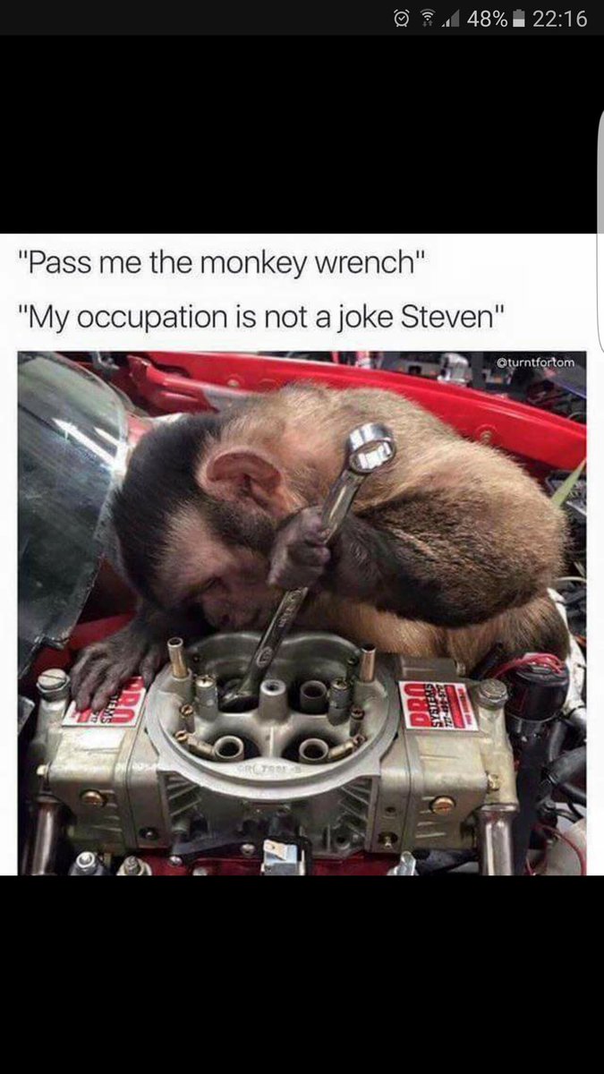 PeterBrierton's tweet photo. @RRRawlings https://t.co/5Pob2xrxQu