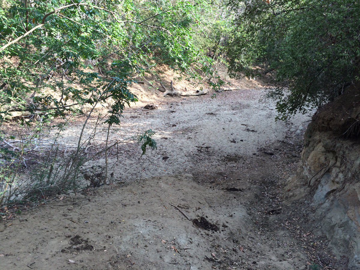 asogami's tweet photo. Asi esta el rio #Aminilla nuestra única fuente de agua. #sequia #ganaderos en emergencia https://t.co/oMh90n1ICk