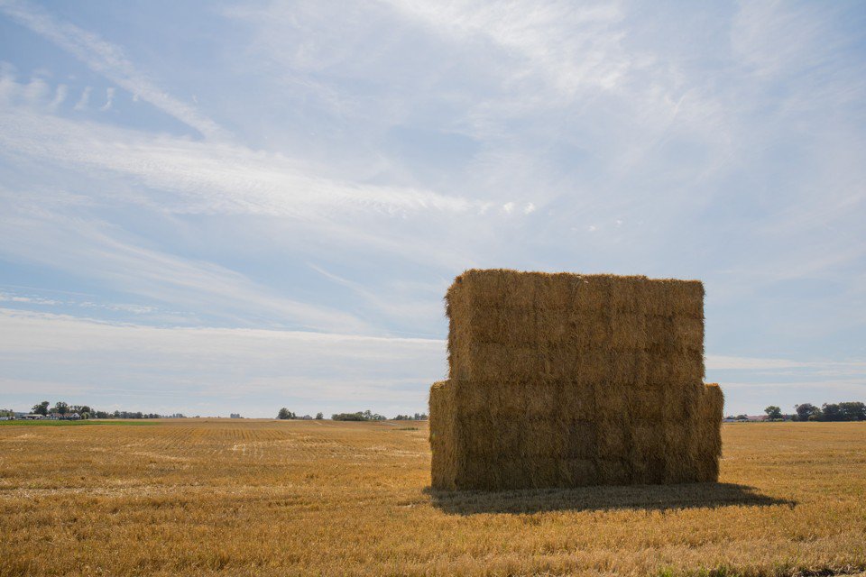 PracticeMBA's tweet image. The "right number of interviews per candidate" is four. - theatln.tc/1YqmczC