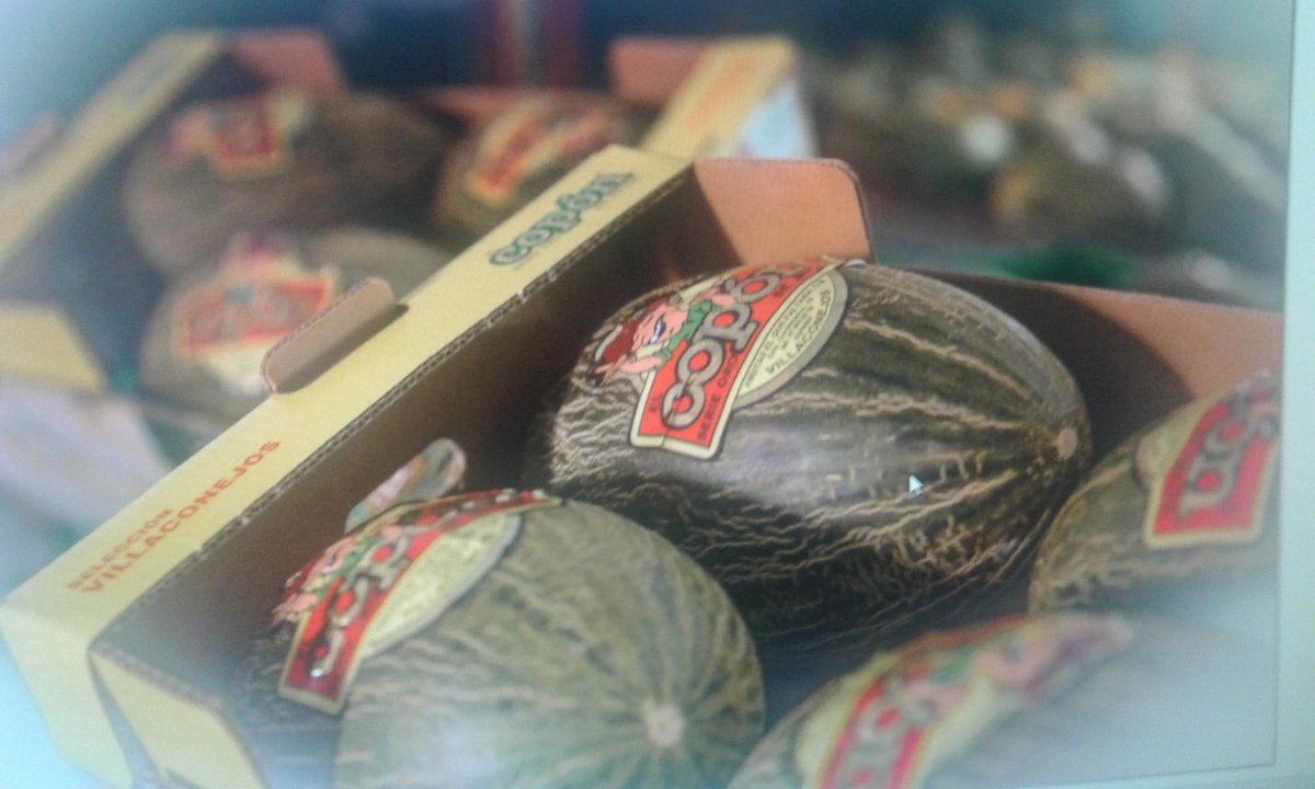 #belleza#melonCopon#lomejor#conelmelonquenotemetanGol#