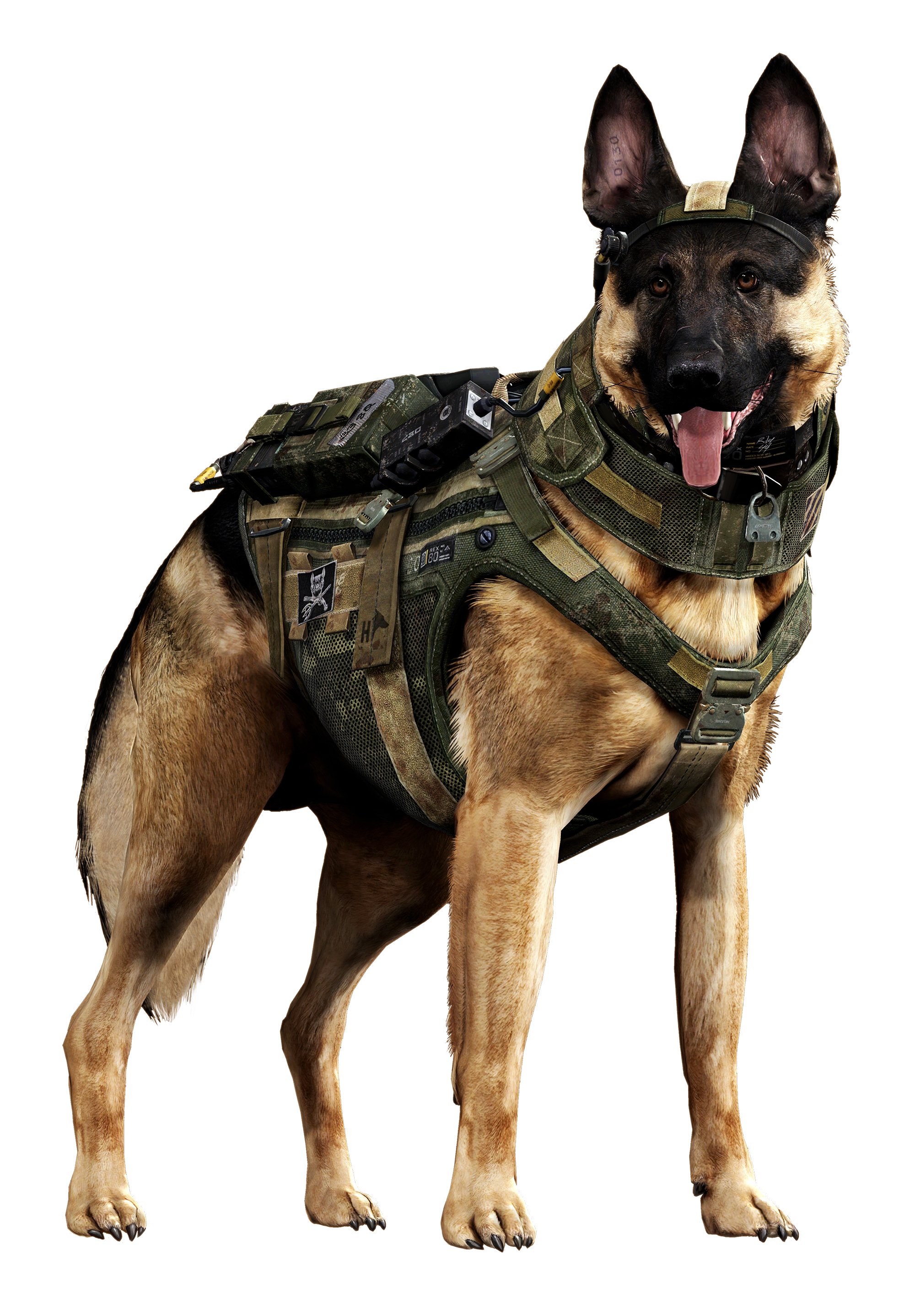 Райли собака Call of Duty
