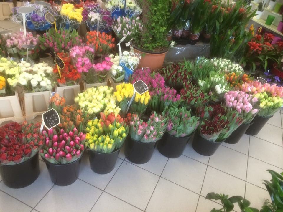 Blumenhaus Dillingen tweet media