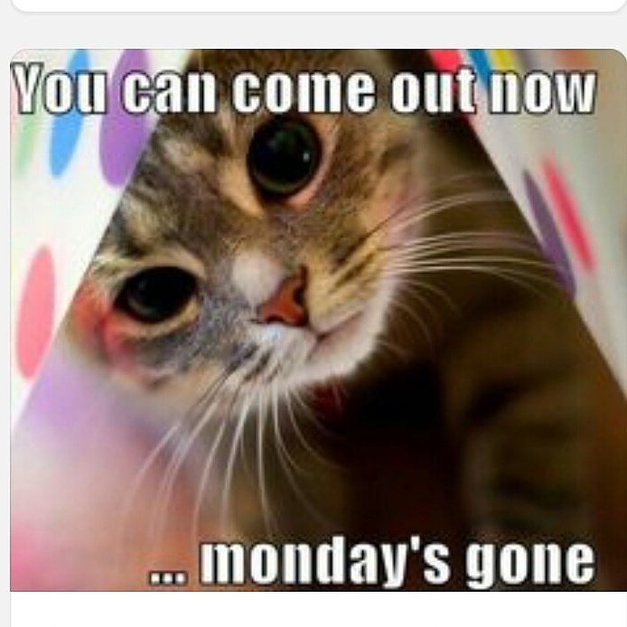 We have appointments available this week! 615-547-1638 for hair, nails, spray tans,waxing #lebanontn #mtjuliettn