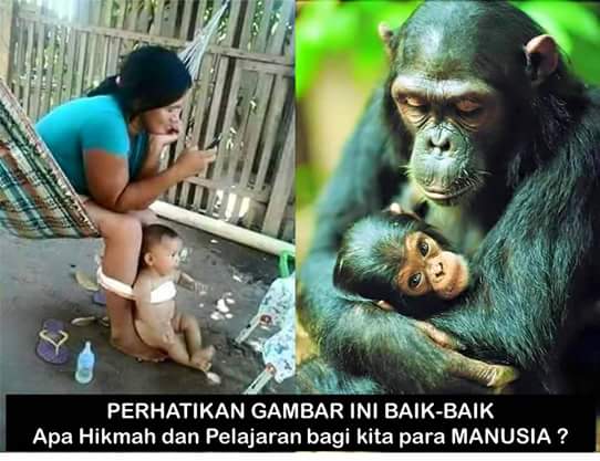 id_berbagi's tweet photo. Krisis kemanusiaan. Masih lampu kuning? @mellykiong @mukhlisyusuf @JamilAzzaini @gnrmkita https://t.co/bhQSdsSceX
