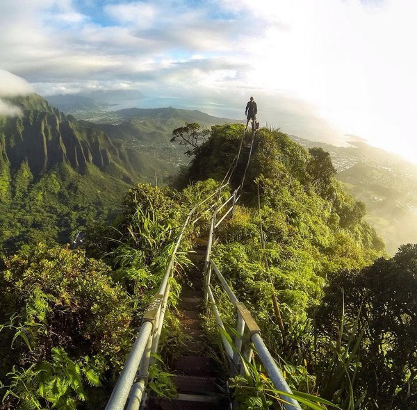 rybotics's tweet photo. "Stairway to Heaven" Oahu, Hawaii https://t.co/tV4nSdnhuZ