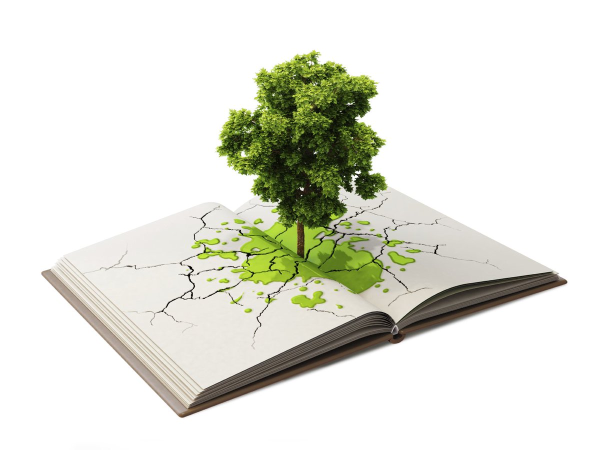 Educação ambiental pode passar a ser disciplina obrigatória nas escolas \o/
bit.ly/m1leducacaoamb…