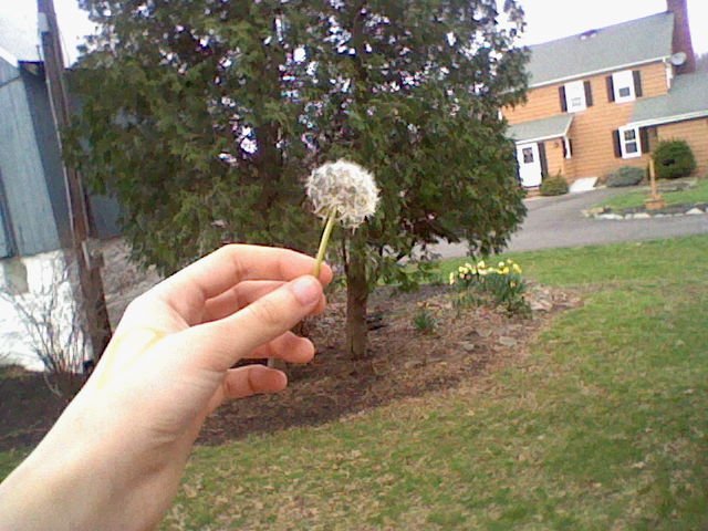 vintageputh's tweet photo. @ConnorFranta #PicturesforConnor lets bring this back bc i want u to see these con https://t.co/7eDg1XG4js