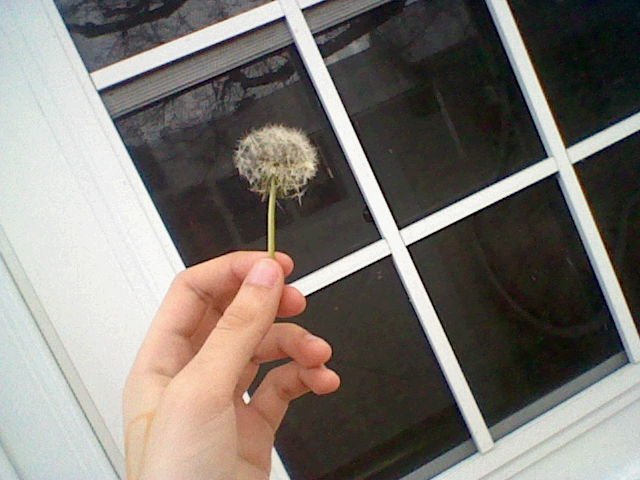 vintageputh's tweet photo. @ConnorFranta #PicturesforConnor lets bring this back bc i want u to see these con https://t.co/7eDg1XG4js