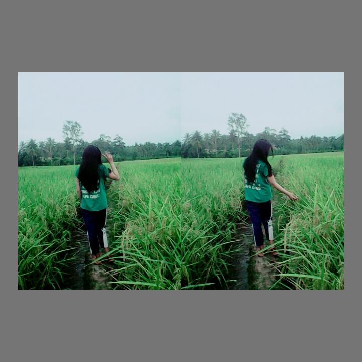 wilda1001's tweet photo. https://t.co/5eSSdEH8Z6