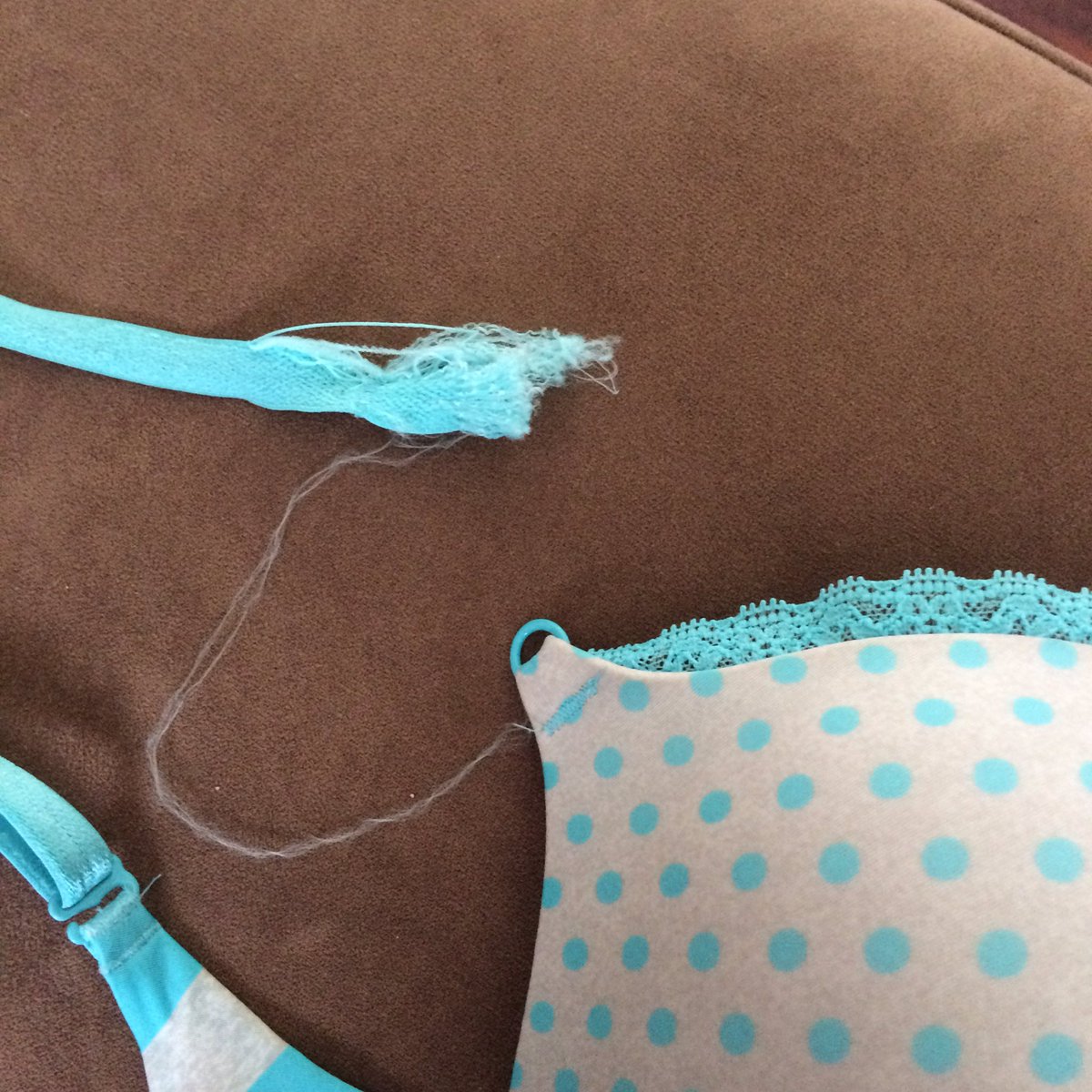 Can't say I've ever had a bra break like this before. And after only 4 months. What the heck <a href="/VictoriasSecret/">Victoria's Secret</a> ??!!