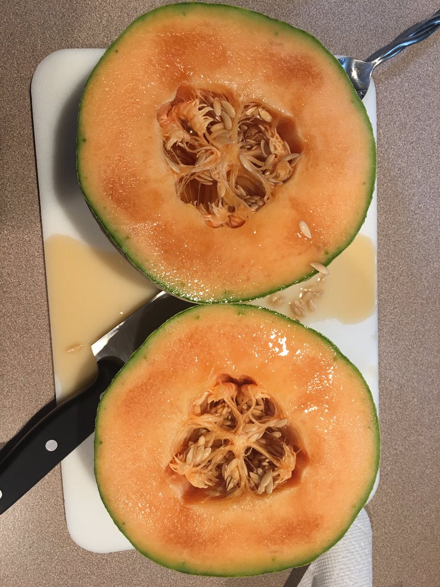 jenurbanski's tweet photo. Hey @Wegmans, bought this cantaloupe on Sat. Doesn't look good. Anything you can do for me? https://t.co/0kcOP0Heme