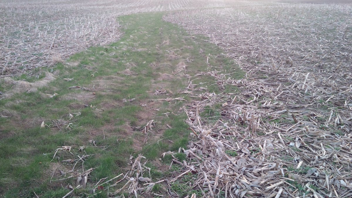 Eastkentnotill's tweet photo. Two different approaches to soil management https://t.co/dlyyahZbza
