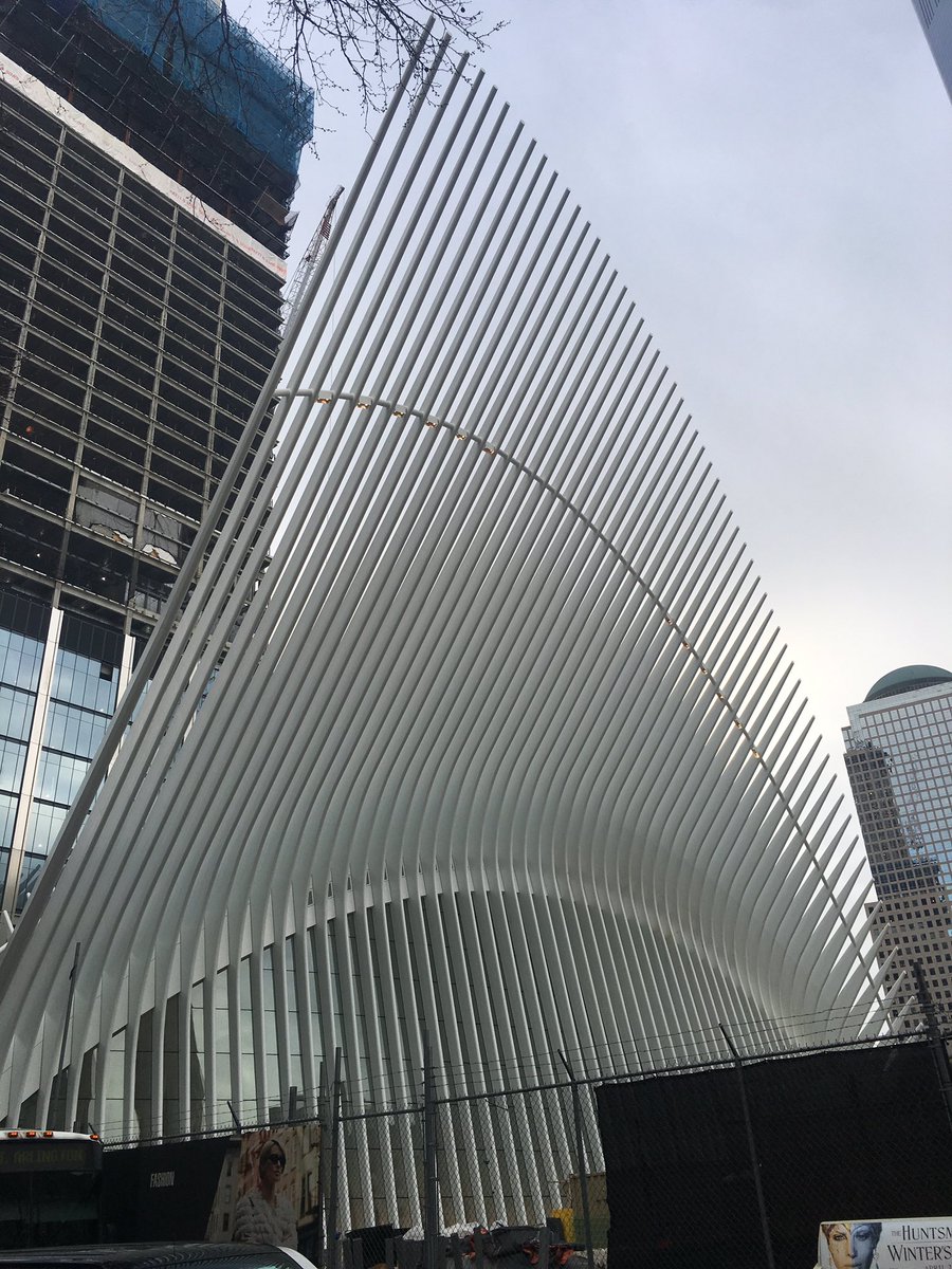 Erin Glenn tweet media