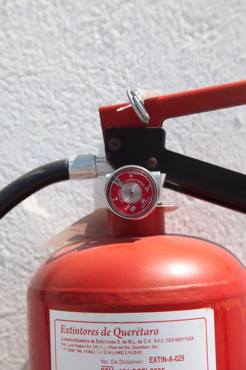 Seguem abertas as inscrições para o Curso Brigadista Mirim Opportunity em  São Gabriel e Dom Pedrito - Coluna Ponto de Vista - O site de notícias de  São Gabriel e região, image size:800x1200