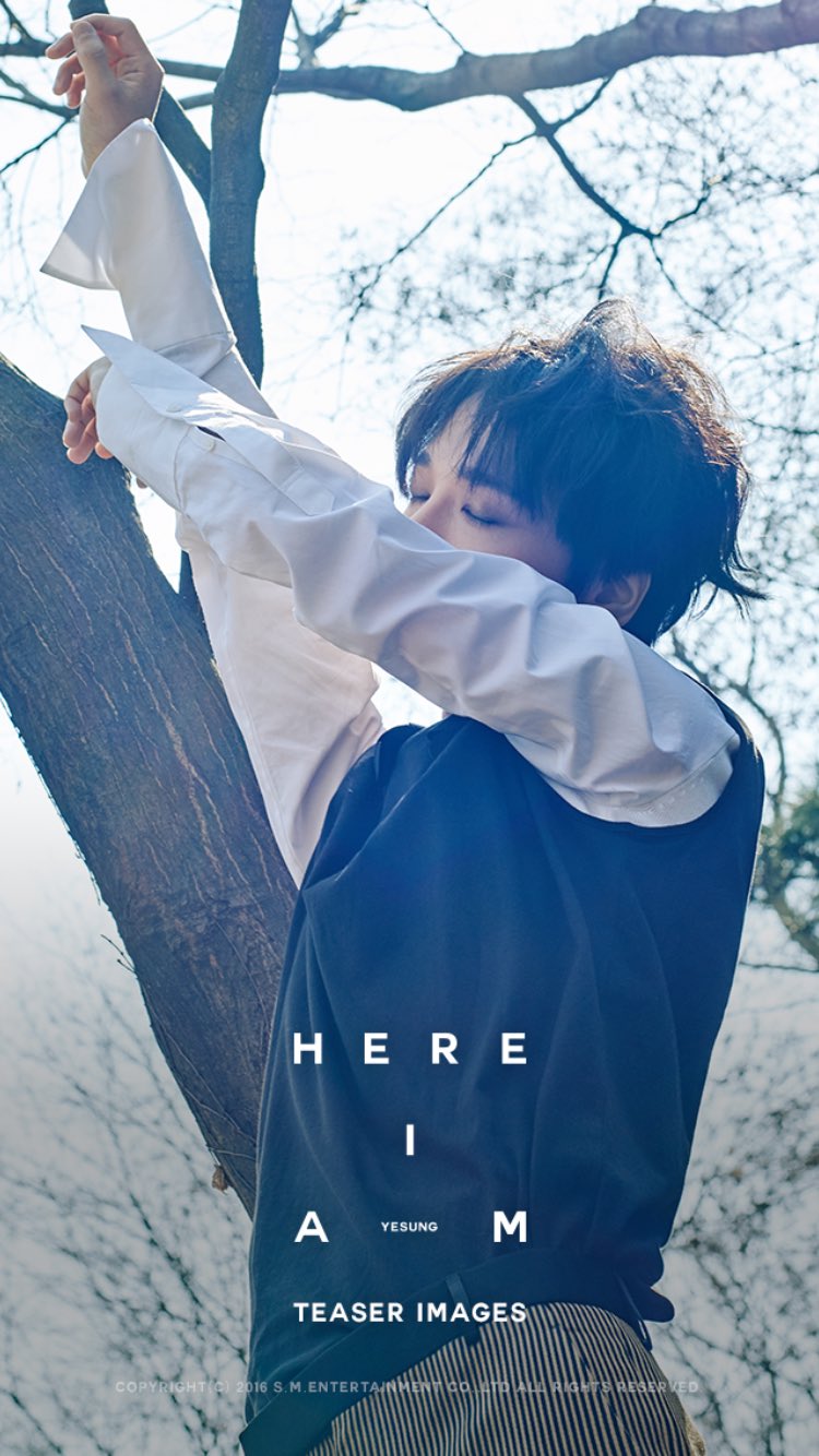 19일(화), 슈퍼주니어(SuperJunior) 예성 첫 솔로 앨범 'Here I Am' 발매 예정 | 인스티즈