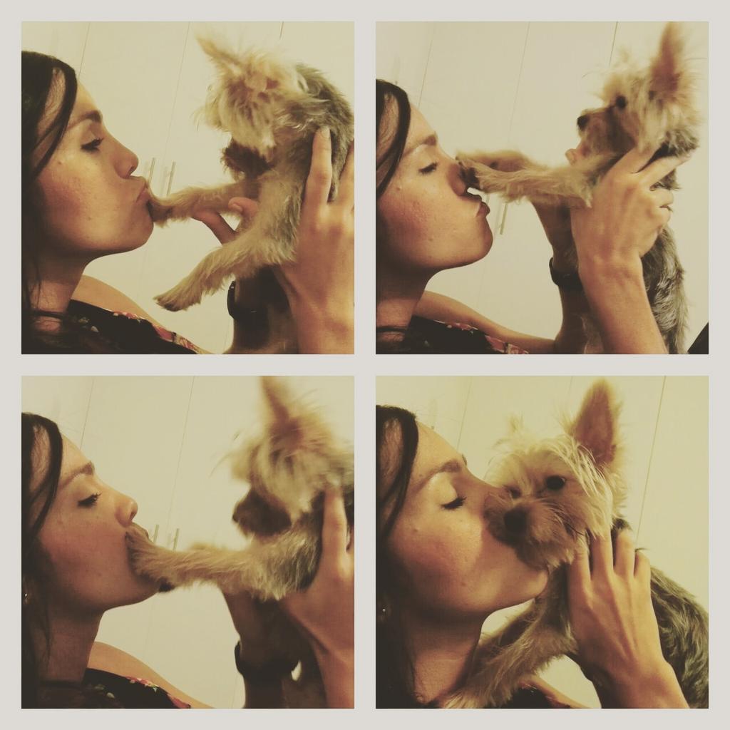 PalomaFiuza_1's tweet photo. Mi hijo tan bonito...y tan travieso!!!🐶🐕 https://t.co/Myiy6JxRca