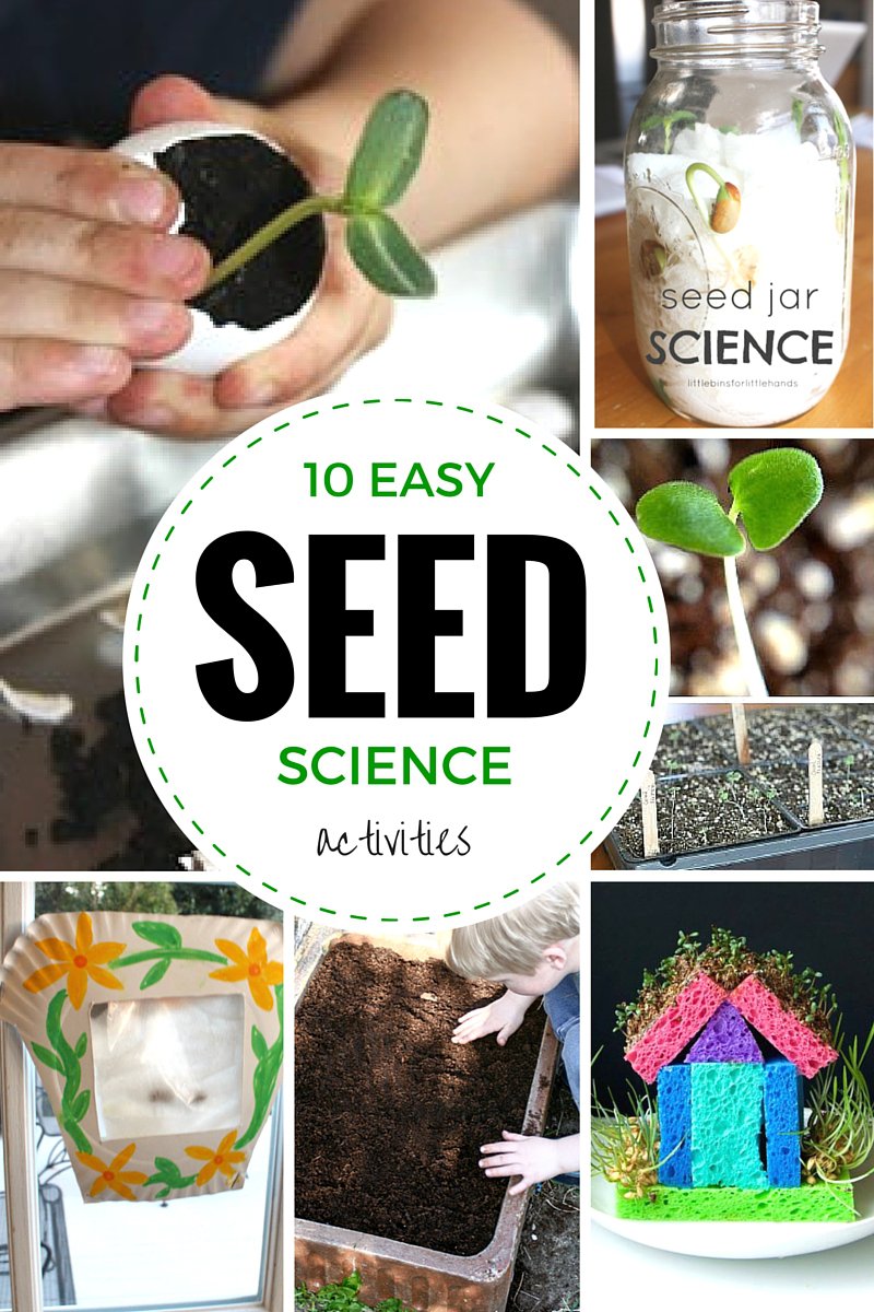 middlewaymom's tweet photo. Easy Seed Science Activities for Kids | Little Bins for Little Hands - https://t.co/ZS33VnAqi0 https://t.co/qOd8oBvepQ