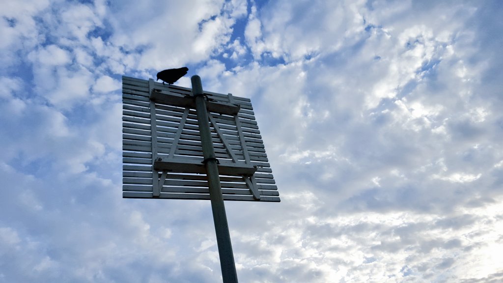 DataCentralSys's tweet image. Are you #Cloud curious?