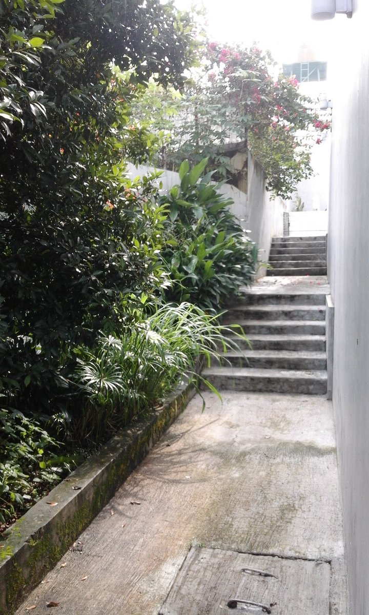 Sutejo53's tweet photo. Bumi sanusi residence.terima kost chusus laki". https://t.co/q9P7IA9zzO