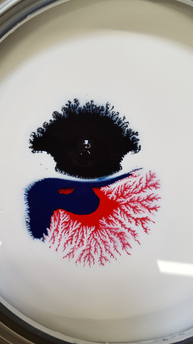 Junebug2482's tweet photo. Paint department dispenser art. D24 life #str912 #D24 #nature #branches  #surroundurselfwithart #had2share @nlr0501 https://t.co/eS2KtzkTGV