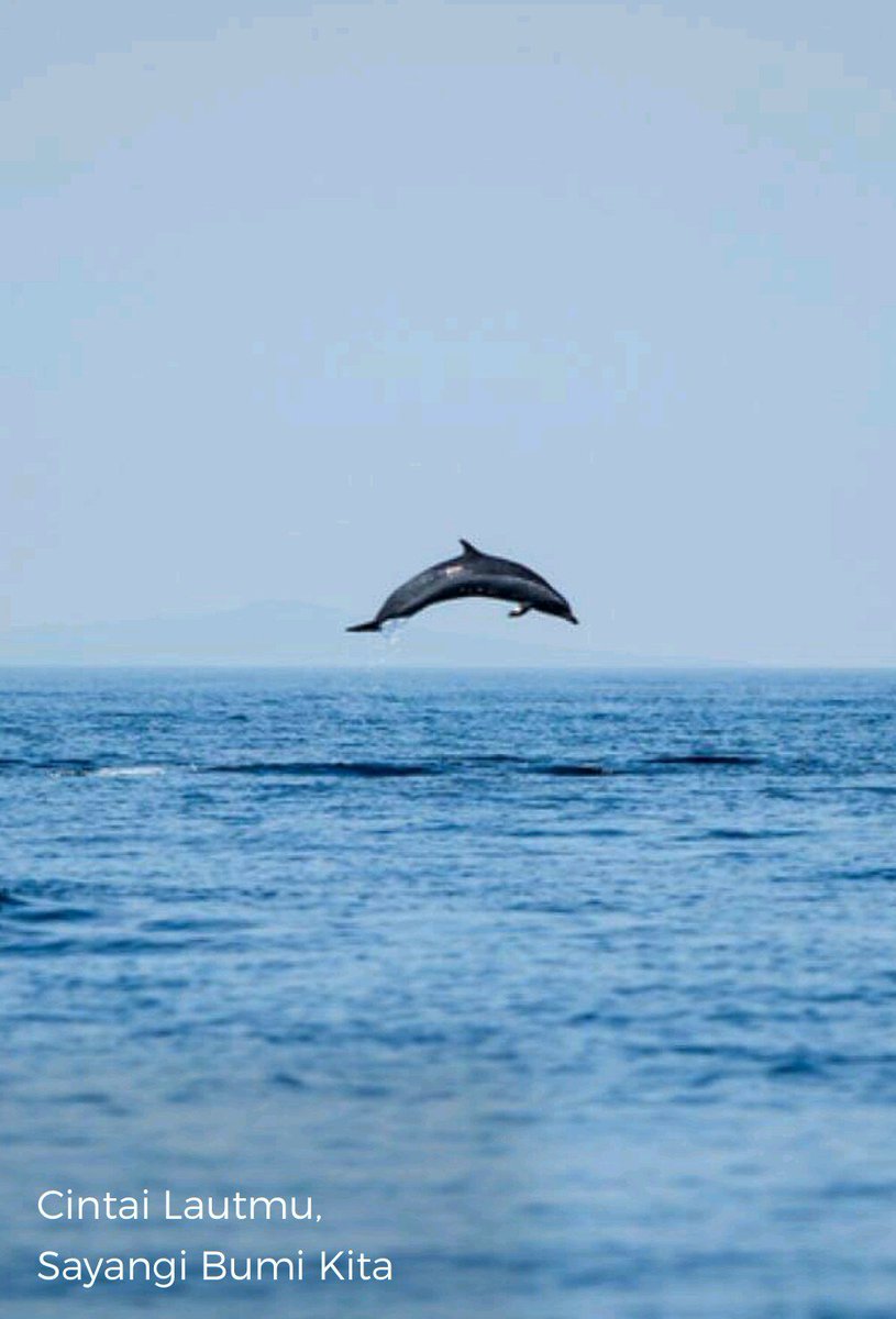 Arifsyah M. Nasution tweet media