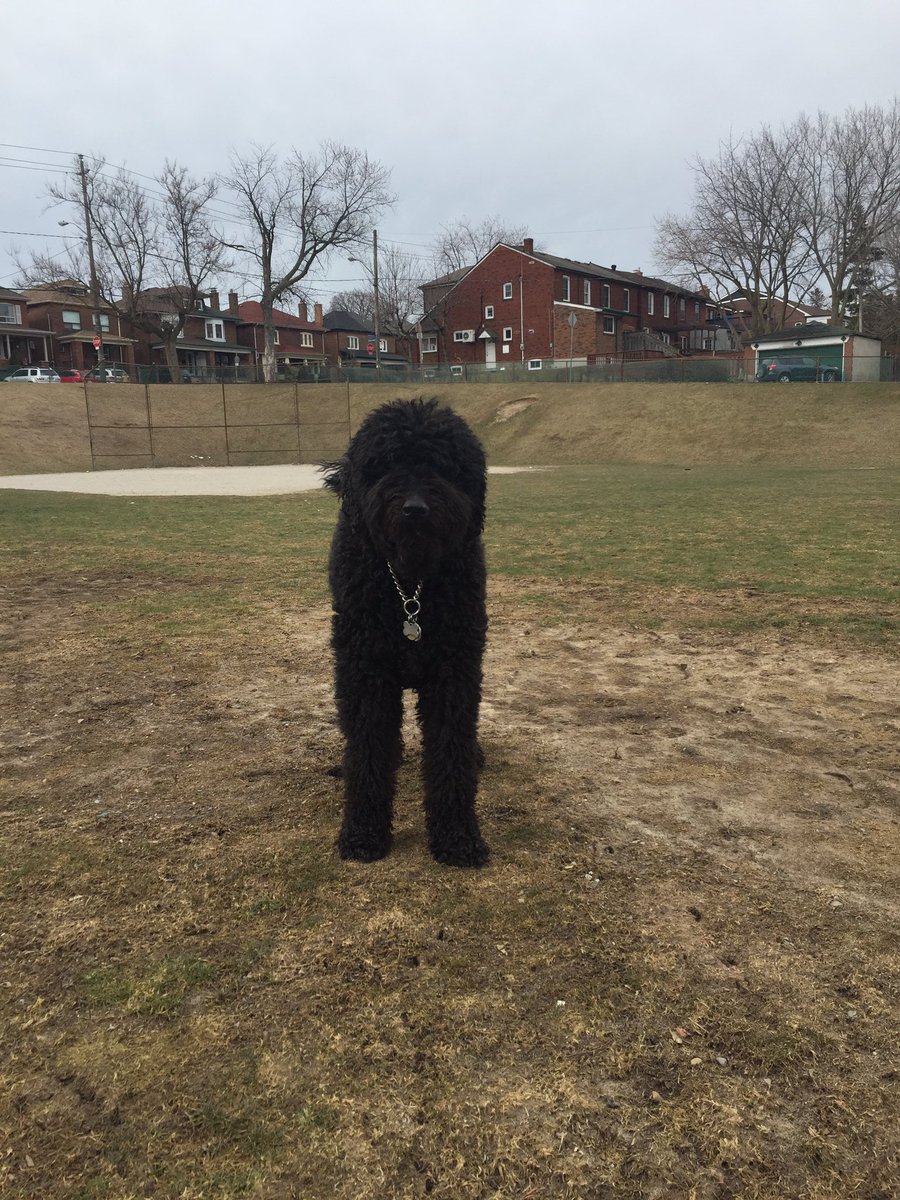 Yurkenbaum's tweet image. How thinking sad thoughts made me happy. mauiyurkenbaum.blogspot.com/2016/04/sad-ha…