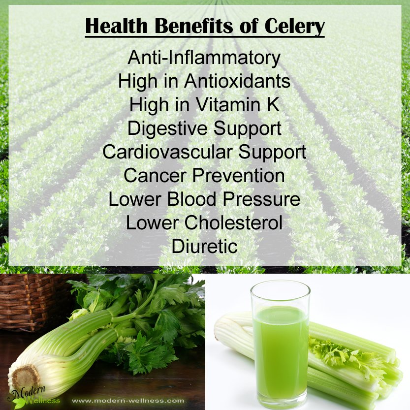 Homestead4Honey's tweet photo. #Simple #Celery #Juice #Recipe #Prevents #Alzheimer’s #Alkalizes & #Fights #Inflammation https://t.co/AQMFHGKrL2 https://t.co/p2RxvMvzDc