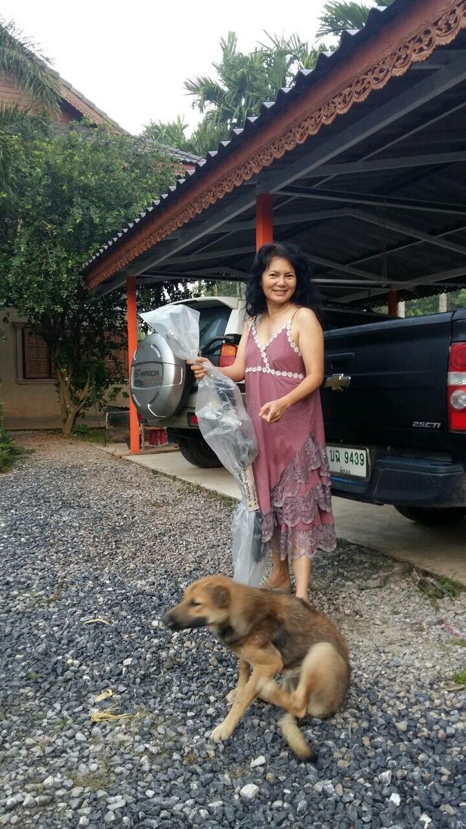 เเคล้ว tweet media