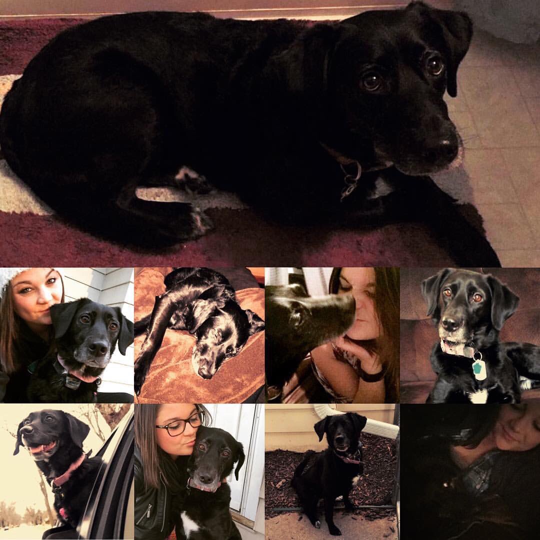 lennerrss's tweet image. People let me tell you bout my beeeest friend🐾 #NationalPetDay