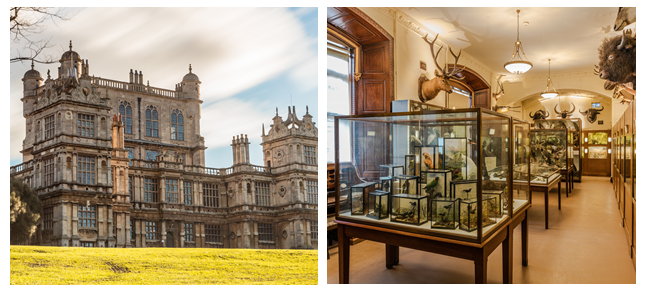 MyNottingham's tweet photo. Wollaton Hall to save over £5K a year by moving to #LED lighting #innovation #sustainability https://t.co/7p4QT66mnC https://t.co/NcTfE5gtNU