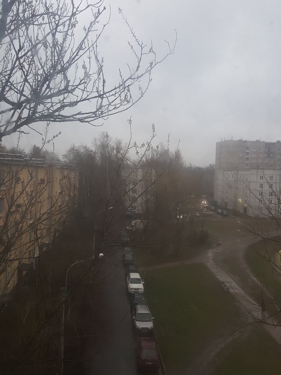 Zahar0k's tweet photo. Весна.
Ожидание: солнце свеит, птички поют, травка зеленеет, отдых
Реальность: https://t.co/qMIrXegOtA