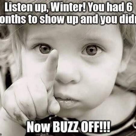 Ice172's tweet image. 