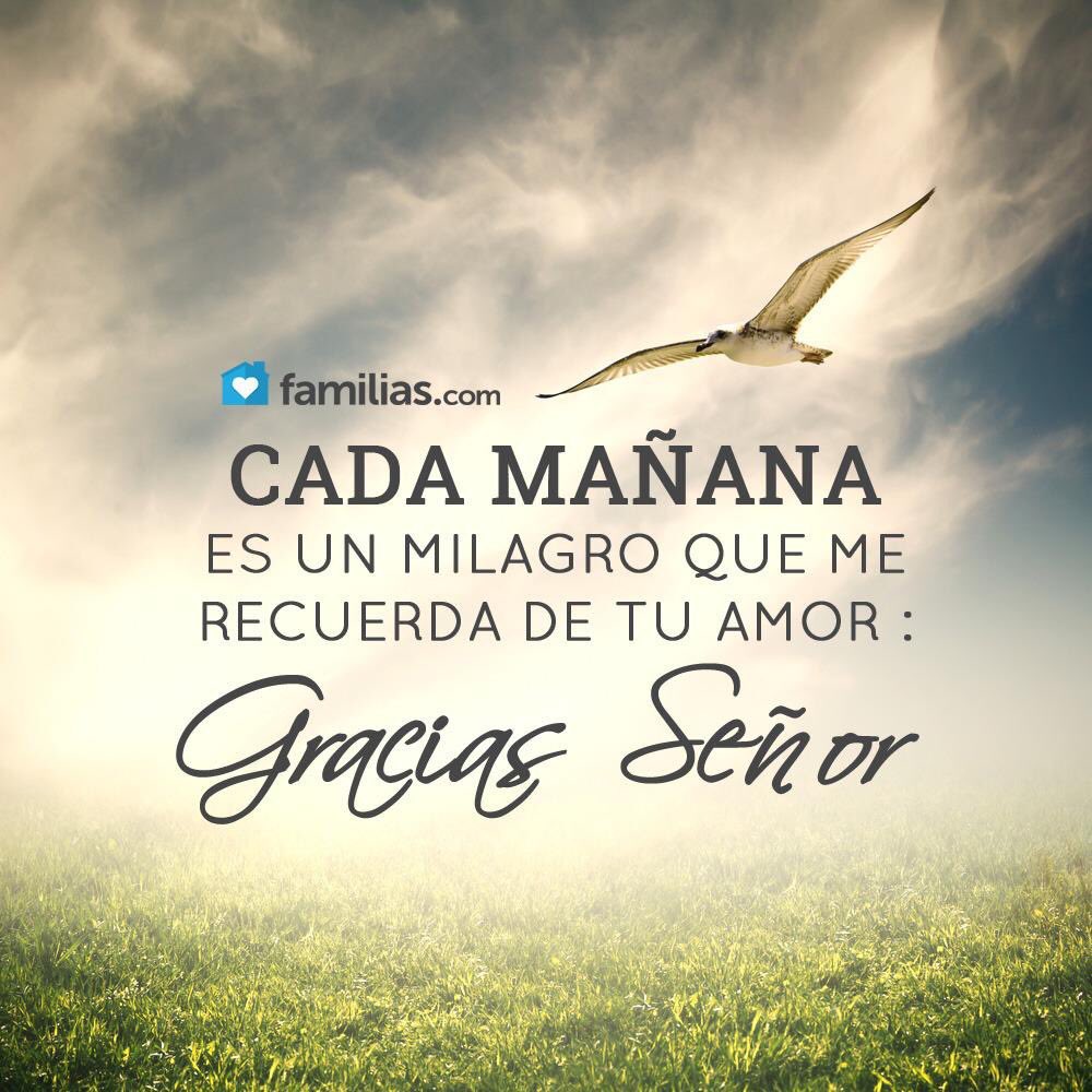 Loren Castillo on Twitter: "Cada mañana nos recuerda tu 