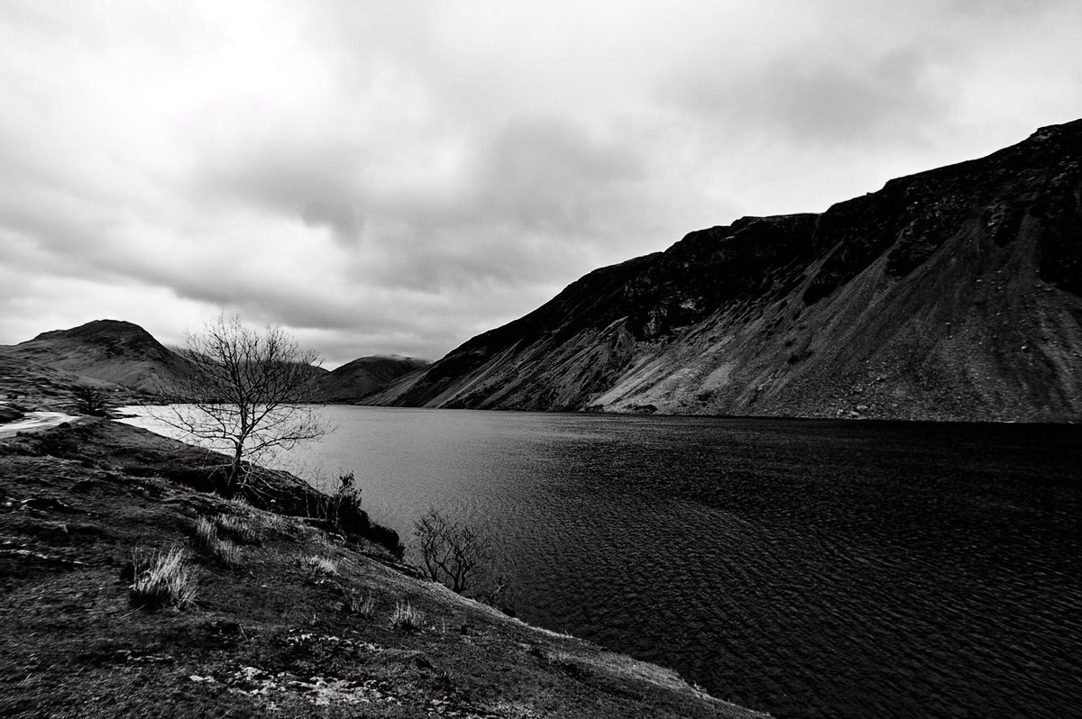 MMahot's tweet photo. For me #nature is not #landscape, but the dynamism of visual forces. #Bridgetriley #photography #lakedistrict https://t.co/OYQxCpZfcF