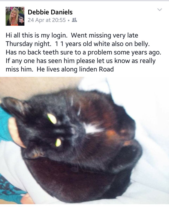 sammiemumford4's tweet photo. @CatsProtection @RSPCA_official @IOWNews My mum lost her cat so please keep a 👀 out in Newport, round Linden Rd area https://t.co/CKA9uzMzyh