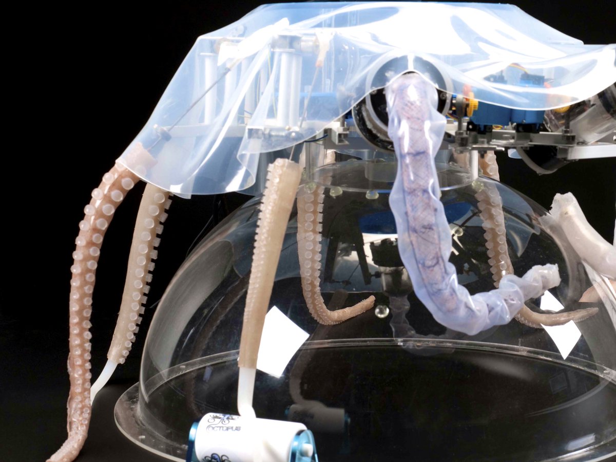 lisagoldapple's tweet image. Full immersion in soft robotics for @AtlasFuture #SoftRoboticsWeek2016. #tentacleporn
