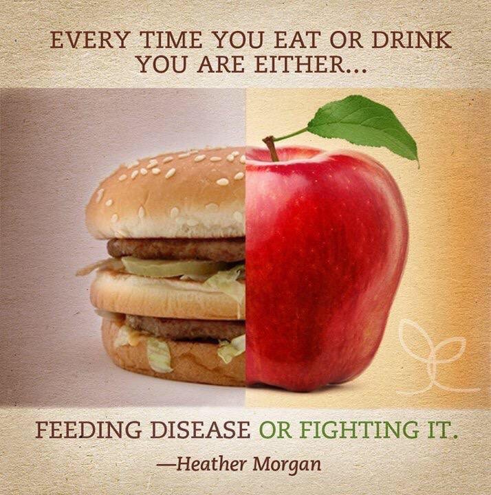 Fight Against GMOs (@say_no_gmo) on Twitter photo 