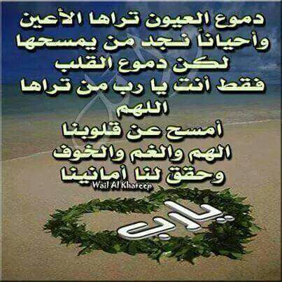 عدي ظاهر الحمداني (@5b2bbcf40a36473) on Twitter photo 