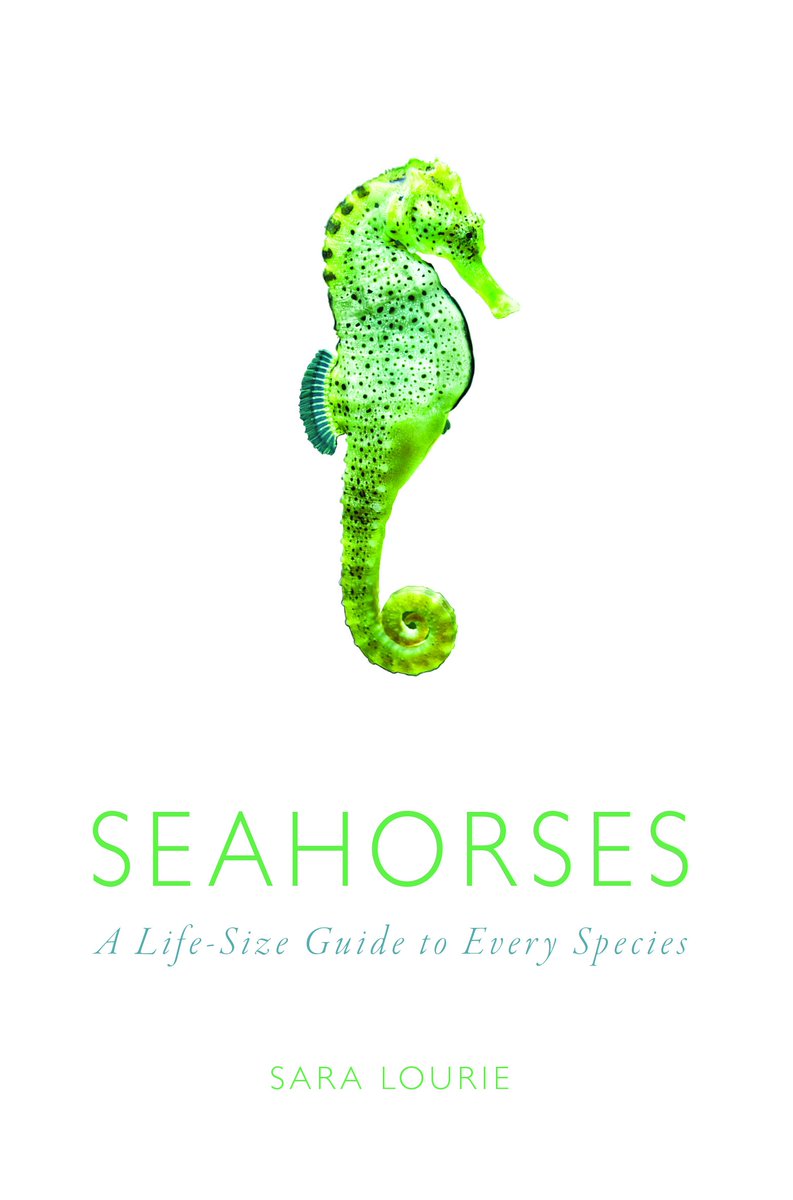 Photos just in of <a href="/Guylian_Chocs/">Guylian Chocolates</a> support, alongside our new book Seahorses, of <a href="/iSeahorsePhils/">iSeahorsePhilippines</a> &amp; <a href="/projectseahorse/">Project Seahorse</a>