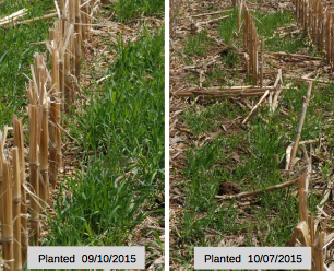 Rowbot Systems tweet media