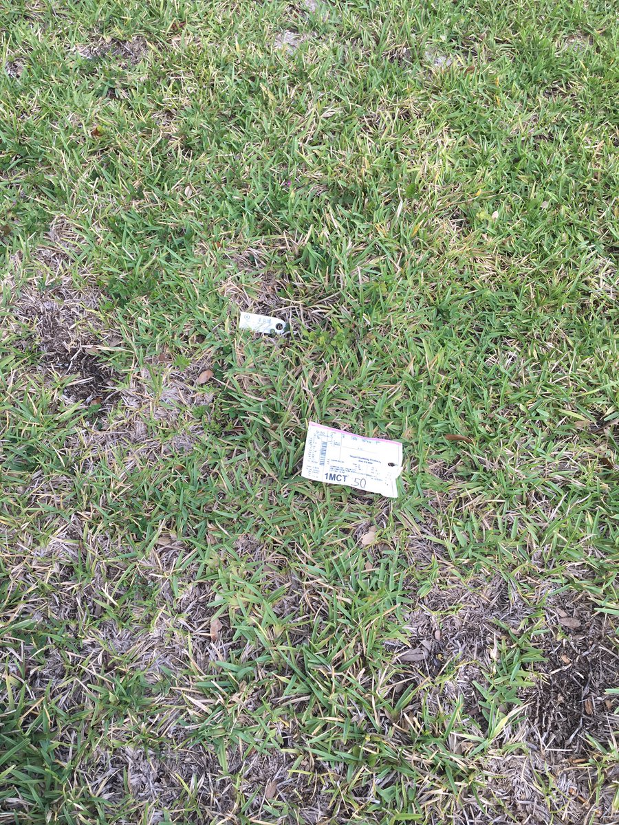 Catteam65's tweet image. Living thru construction @PulteHomes daily trash. #pawful