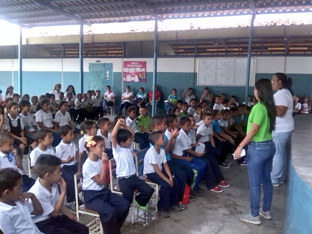 MisionArbolPortug tweet media