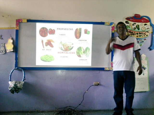 MisionArbolPortug tweet media
